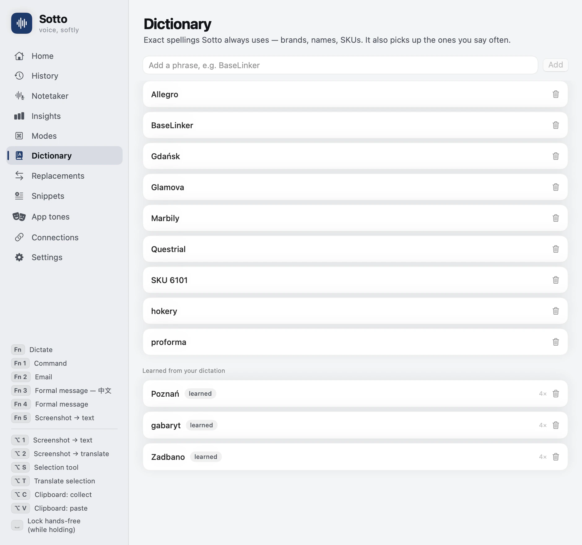 The same window with Dictionary selected: the phrases Sotto always spells your way, and below them the terms it learned from your dictation on its own.